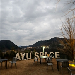 피드에 업로드 된 이미지