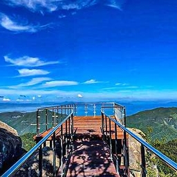 피드에 업로드 된 이미지