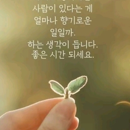 피드에 업로드 된 이미지