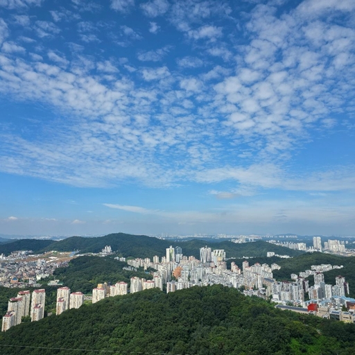피드 이미지