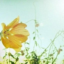 피드에 업로드 된 이미지