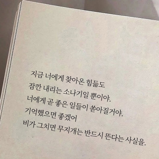 피드 이미지