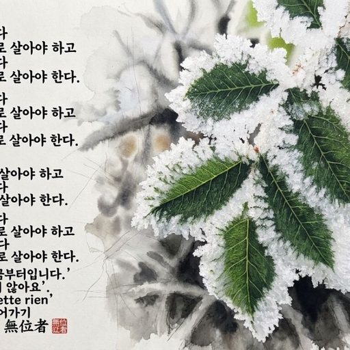 피드 이미지