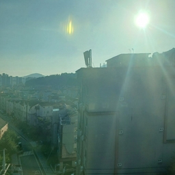 피드에 업로드 된 이미지