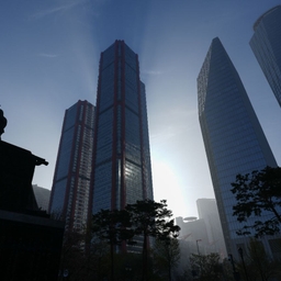피드에 업로드 된 이미지