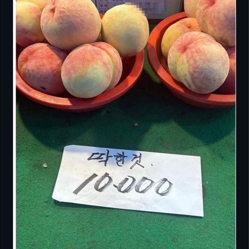 피드 이미지