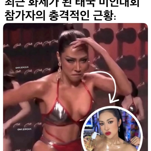 피드 이미지