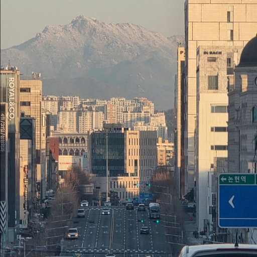 피드 이미지