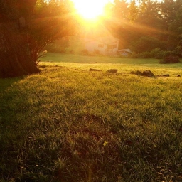 피드에 업로드 된 이미지