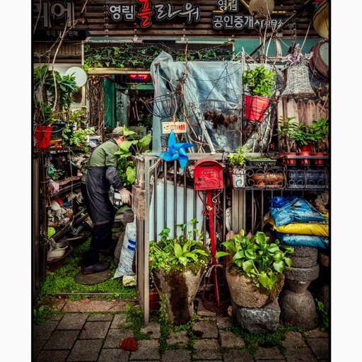 피드 이미지