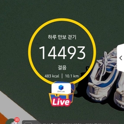 피드에 업로드 된 이미지