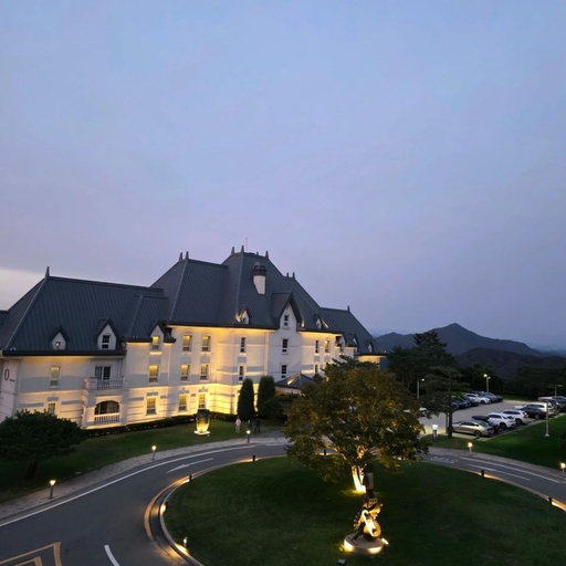 피드 이미지