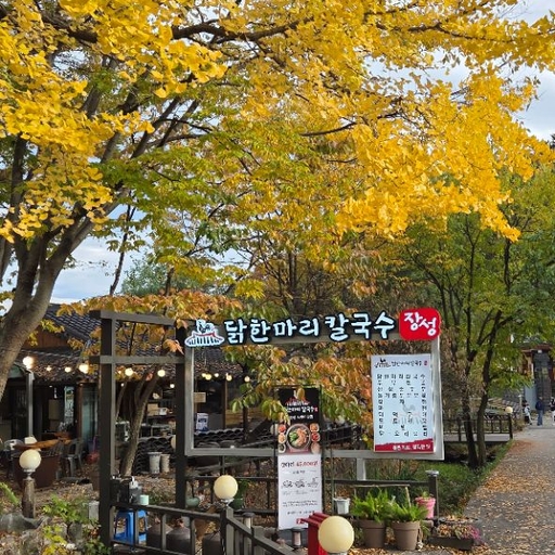 피드 이미지