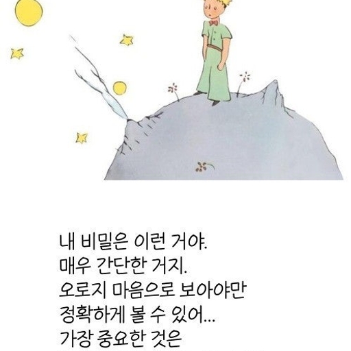 피드 이미지