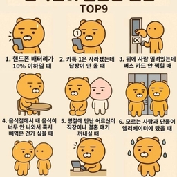 피드에 업로드 된 이미지