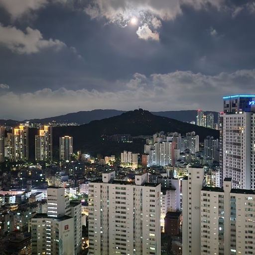피드 이미지