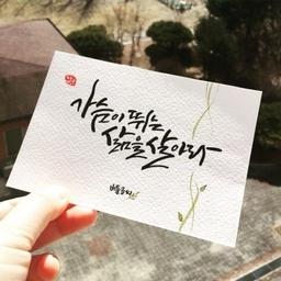 피드에 업로드 된 이미지