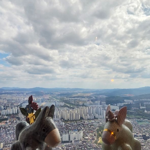 피드 이미지