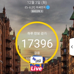 피드에 업로드 된 이미지