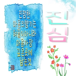 피드에 업로드 된 이미지