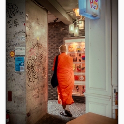 피드에 업로드 된 이미지