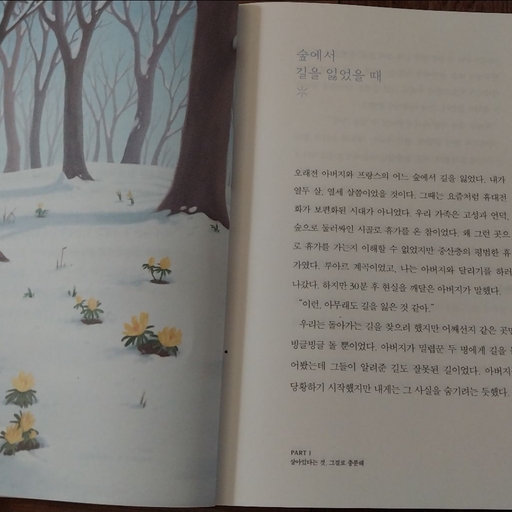 피드 이미지