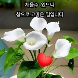 피드에 업로드 된 이미지