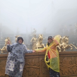 피드에 업로드 된 이미지