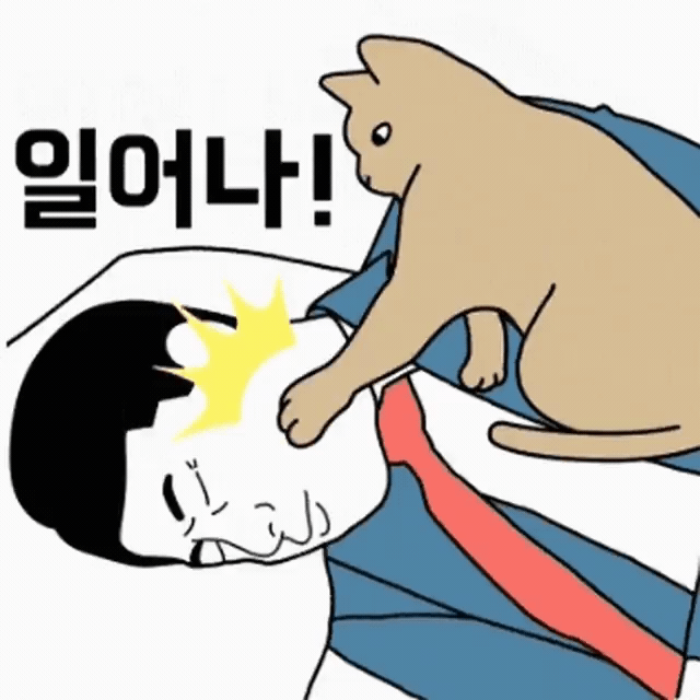 피드에 업로드 된 이미지
