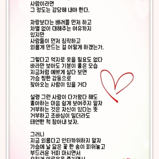 피드 이미지