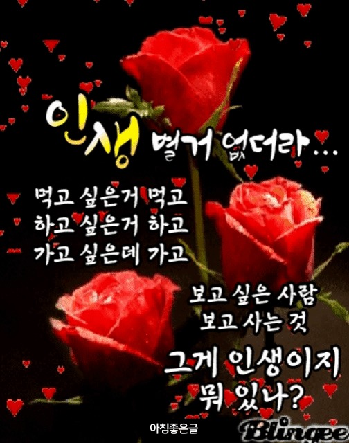 피드에 업로드 된 이미지