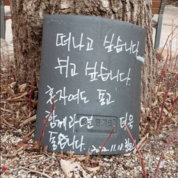피드에 업로드 된 이미지