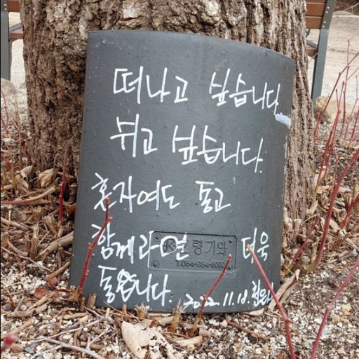 피드 이미지
