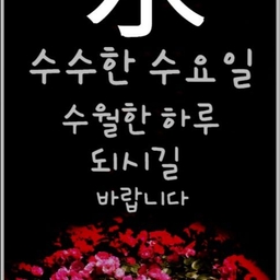 피드에 업로드 된 이미지