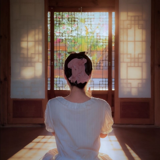 피드 이미지