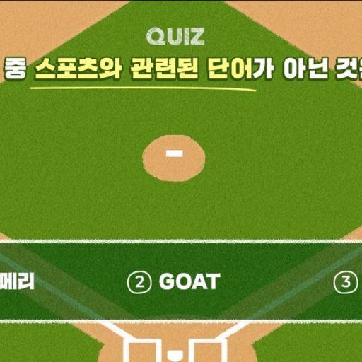 피드 이미지