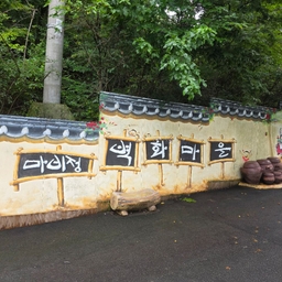 피드에 업로드 된 이미지