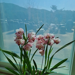 피드에 업로드 된 이미지