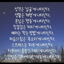 피드에 업로드 된 이미지