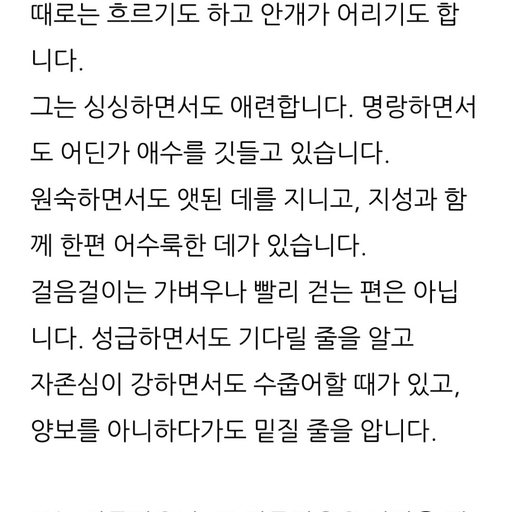 피드 이미지
