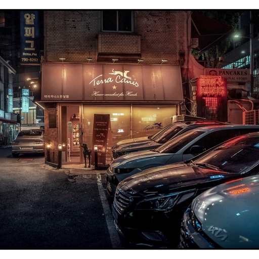 피드 이미지
