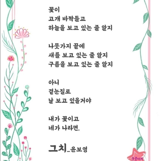 피드 이미지