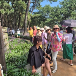 피드에 업로드 된 이미지