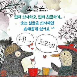 피드에 업로드 된 이미지