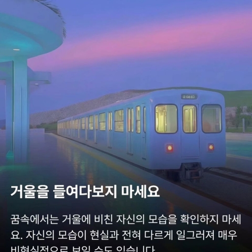 피드 이미지