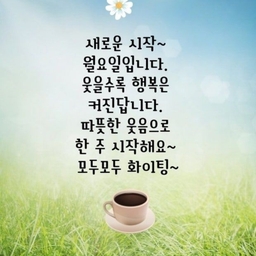 피드에 업로드 된 이미지