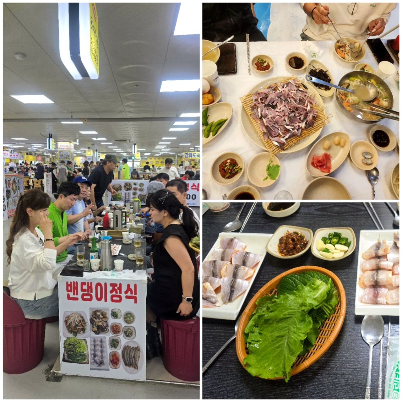피드 이미지