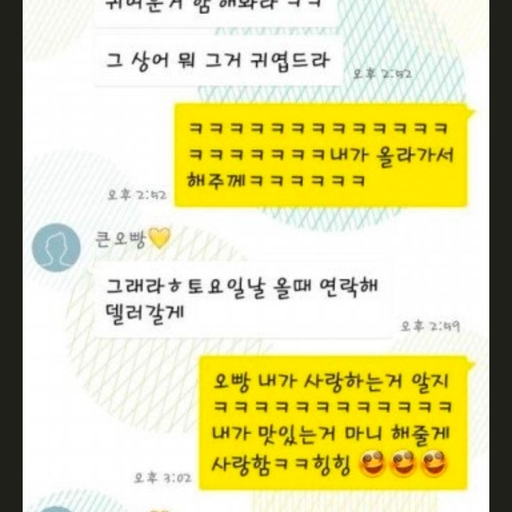 피드 이미지