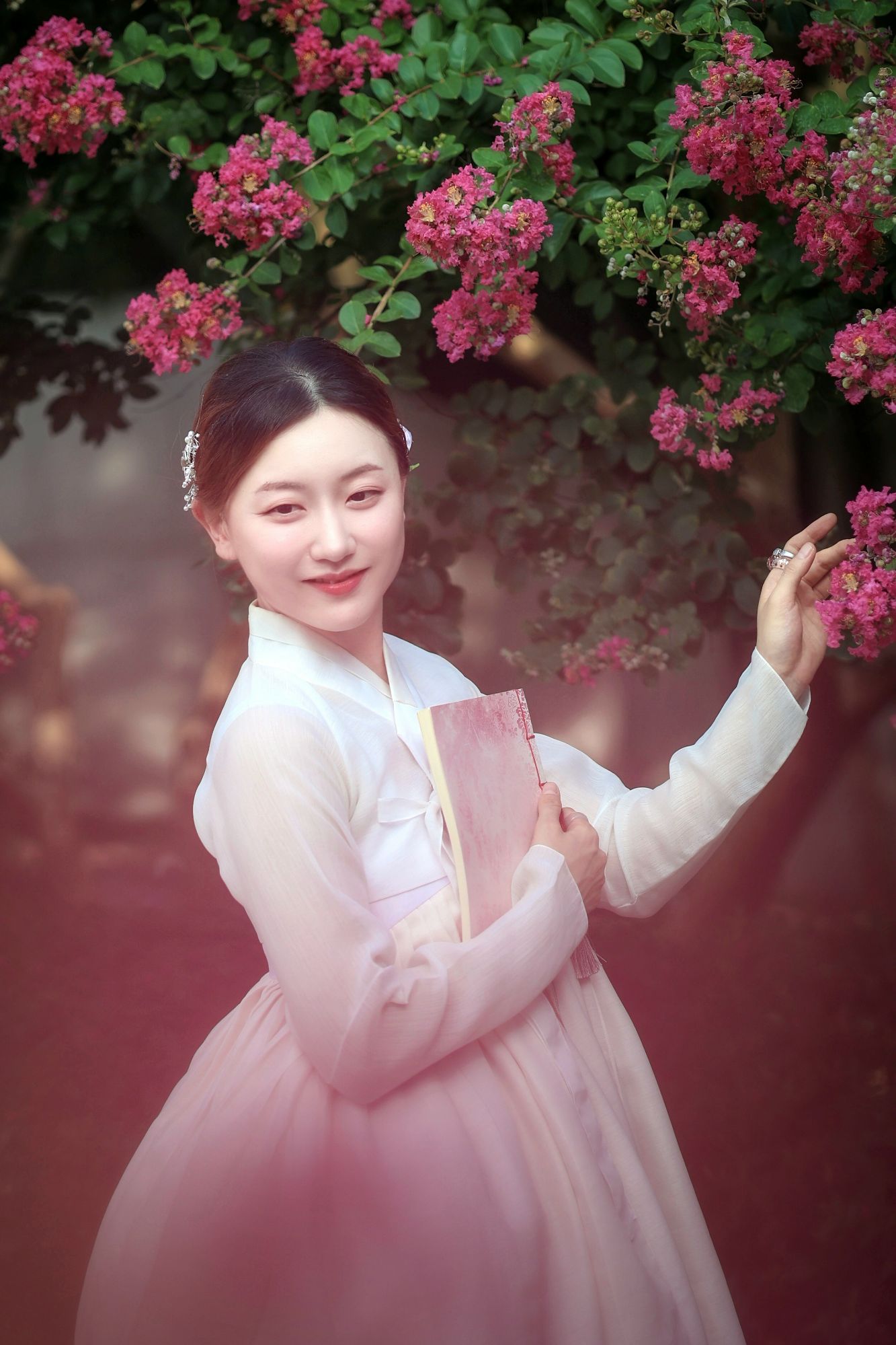 피드 이미지