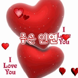 피드에 업로드 된 이미지